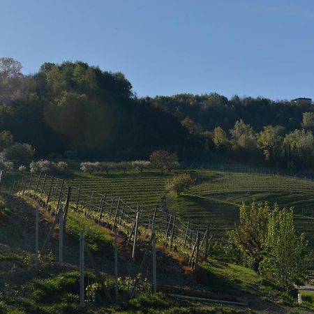 Costa Di Bussia Villa Monforte D'Alba Bagian luar foto
